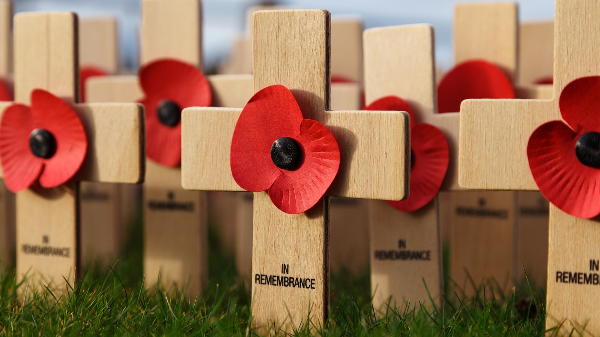 The History Of Remembrance Day Sky HISTORY TV Channel